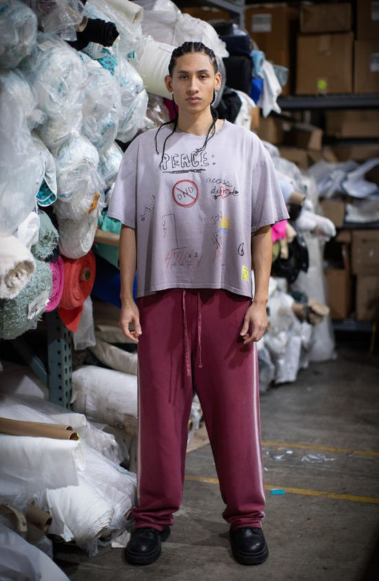 CROP PEACE TEE - Dusted Mauve